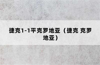 捷克1-1平克罗地亚（捷克 克罗地亚）